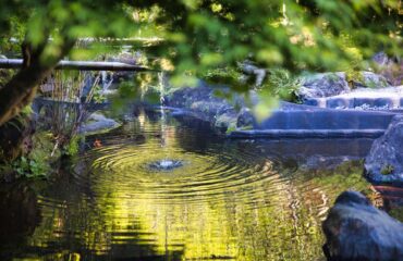 japanese garden