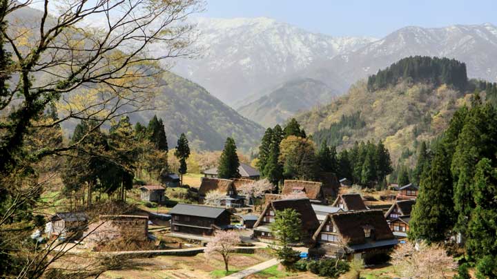 Japanese Traditional House