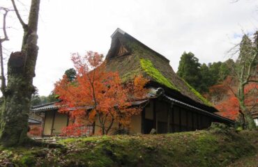 Japanese Traditional House