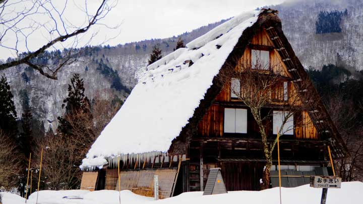 Japanese Traditional House