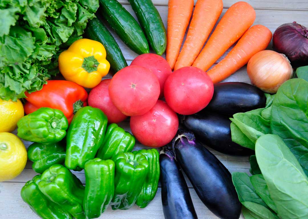 Летние овощи. Кожи овощи человек. Живые фото овощи. 10 Овощей. Овощи оранжевого цвета