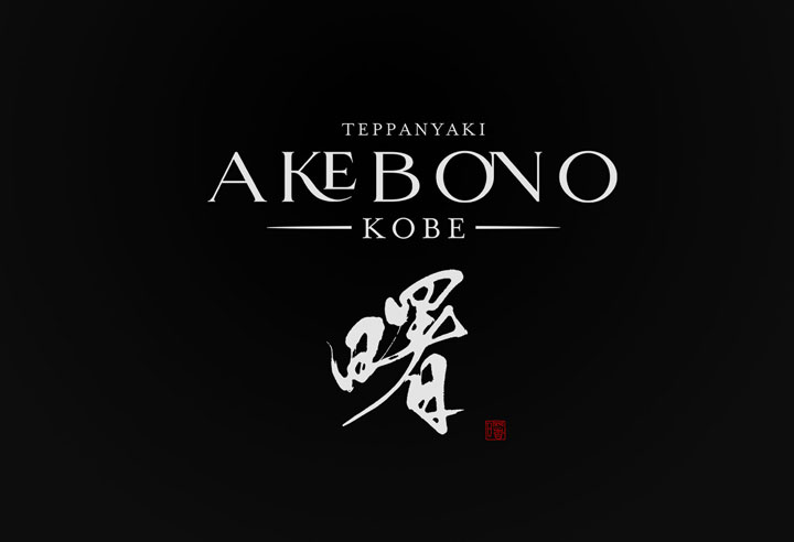 teppanyaki logo design