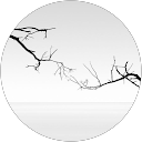 Ming Chang profile picture